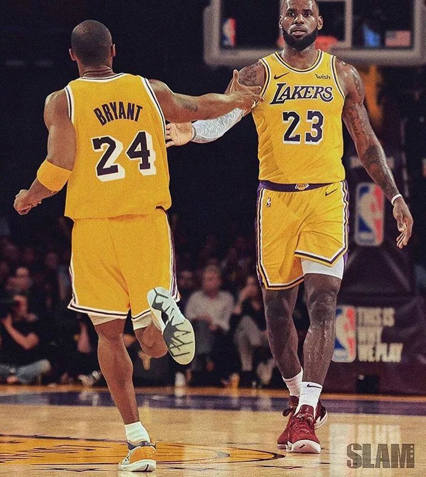 对抗强度著 对抗强度著